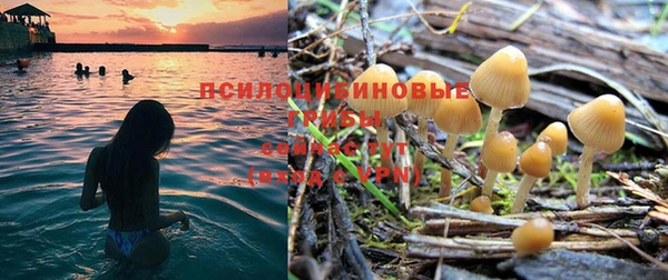 стафф Алексеевка