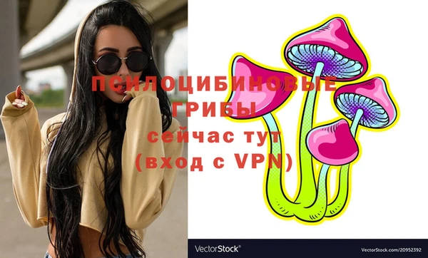 apvp Алексин