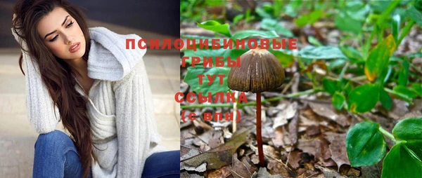 эйфоретик Абдулино