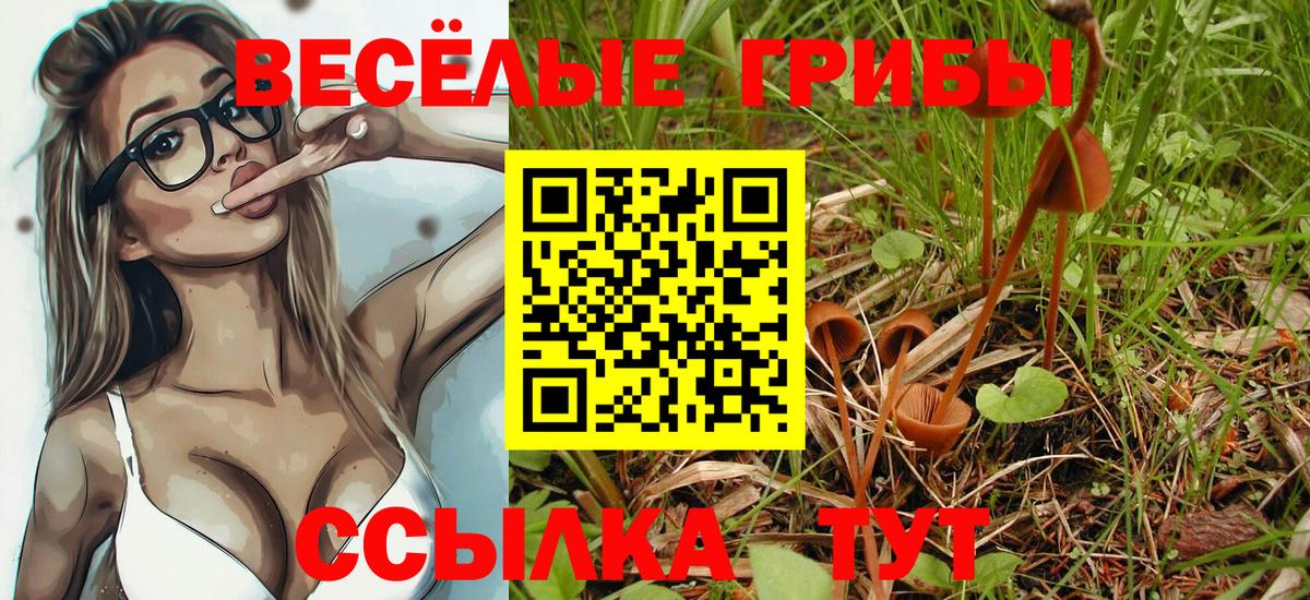 Галлюциногенные грибы GOLDEN TEACHER Южноуральск